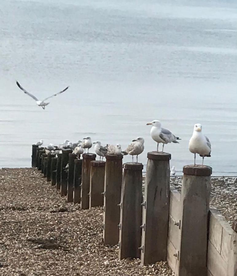 Appartamento Once Upon A Tide Herne Bay Esterno foto