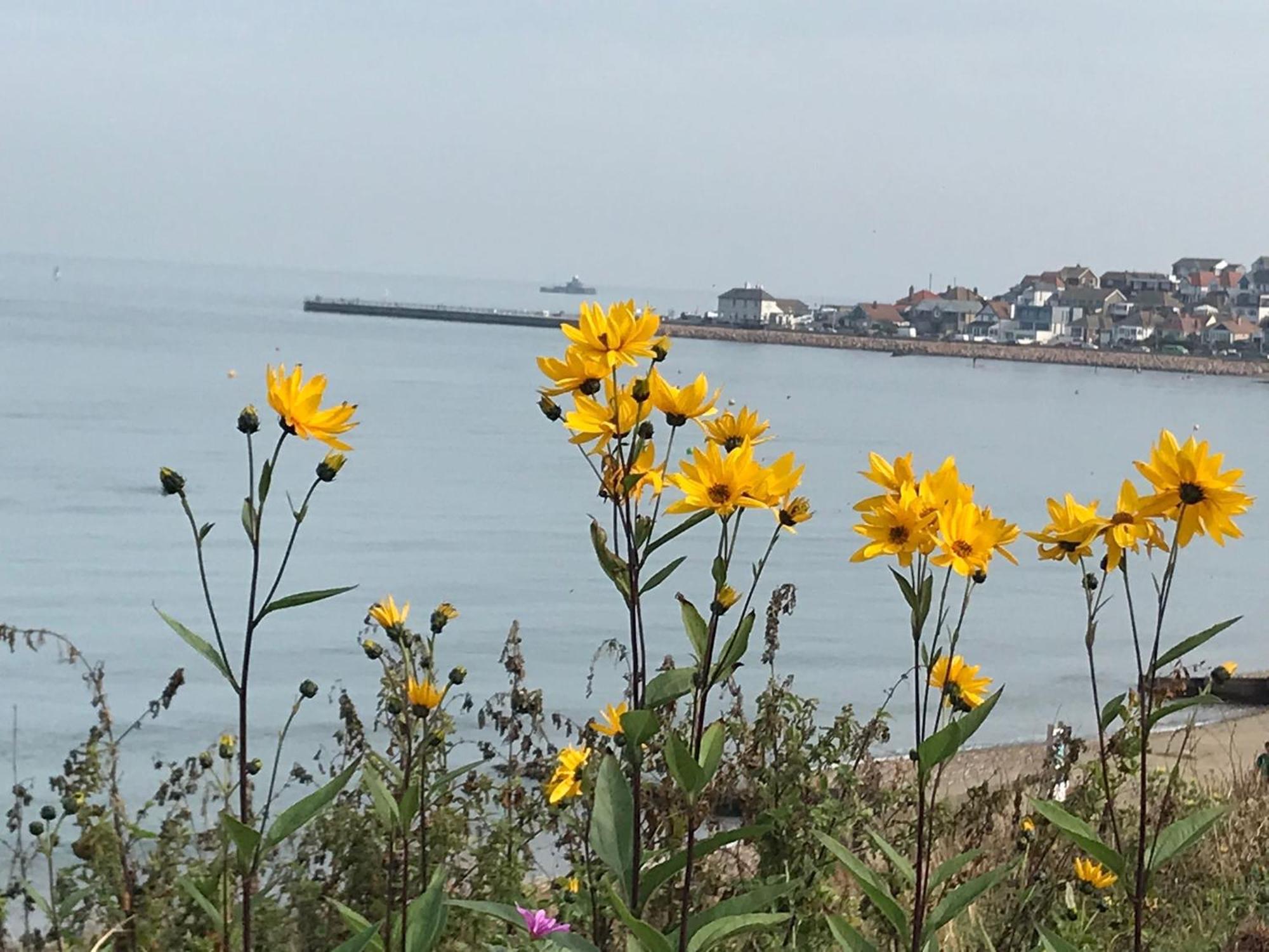 Appartamento Once Upon A Tide Herne Bay Esterno foto